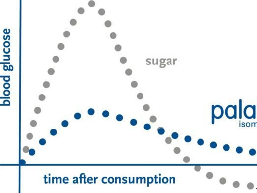 把握健康食品新机遇，帕拉金（异麦芽酮糖）糖助力食品企业快速转型