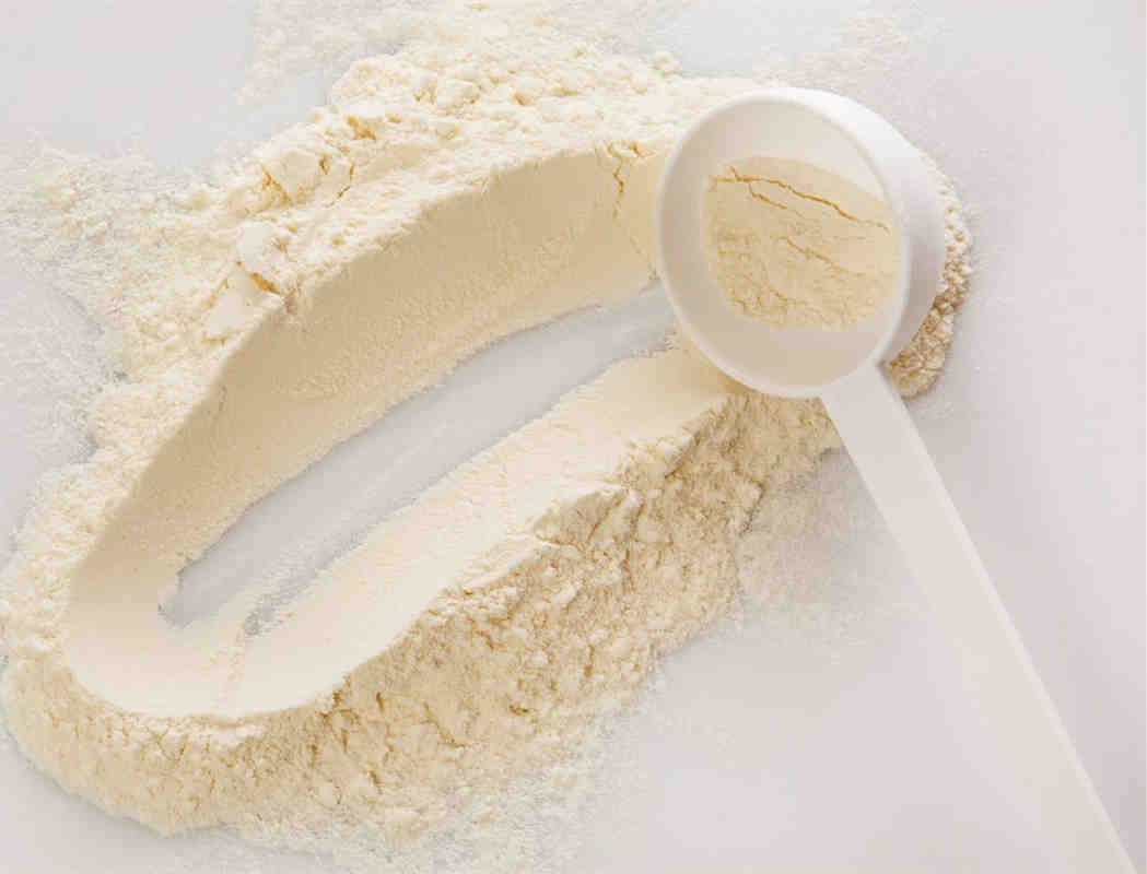 浓缩乳清蛋白(WPC) 速溶性能好 应用在配方奶粉、配方营养食品