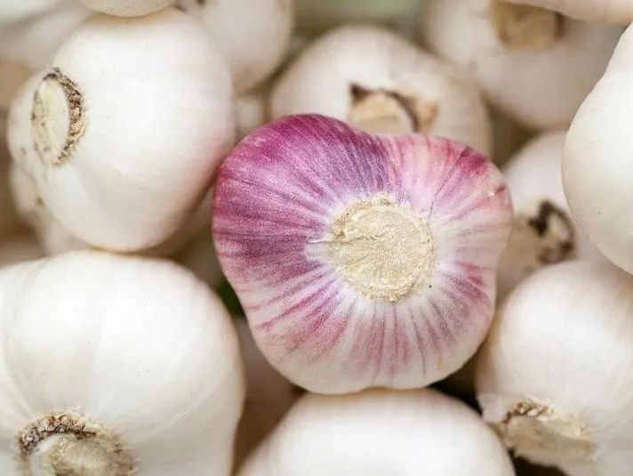 挡不住的鲜香蒜味,IFF 大蒜香精 应用在调味品