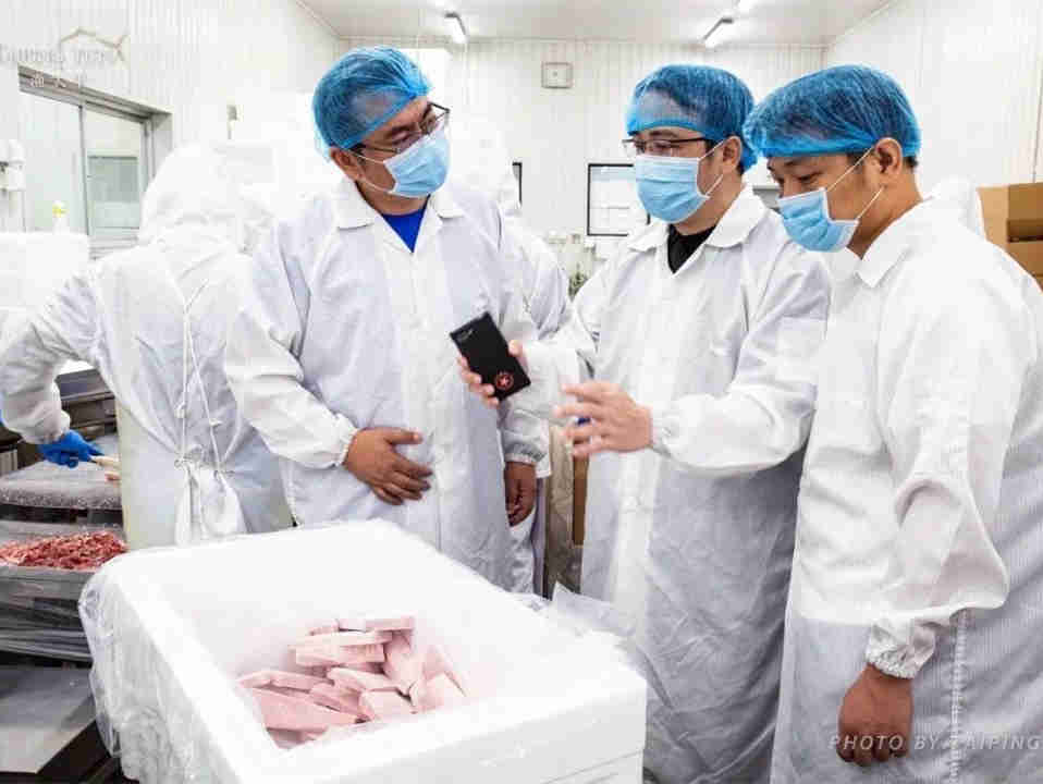 渔太平以稀缺的大目和黄鳍等类目的金枪鱼为原料，为打造金枪鱼产业链奠定坚实基础