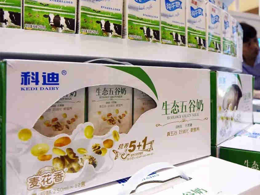 深陷造假风波,科迪乳业已高光不再
