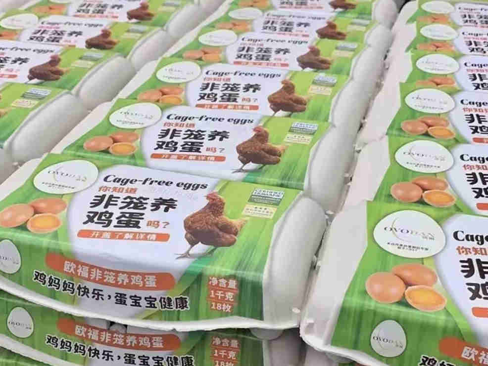 欧福蛋业发布非笼养鸡蛋，在苏州开市客（Costco）可购买