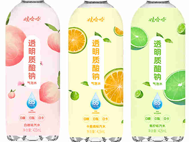 宗馥莉成功接班,一个新的娃哈哈正在建立