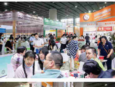 【2022第31届广州国际大健康产业博览会（IHE China）】诚挚邀请您6月相约羊城，共襄盛典！