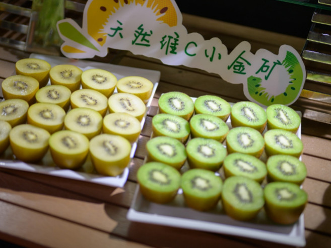 Zespri佳沛奇异果作为lululemon社区挚友,支持国际瑜伽日特别社区活动