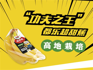 都乐Dole 上新品：小黄人香蕉，果香浓郁，软糯香甜