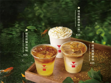 有木名丹桂,四时香馥馥!代数学家 上新品:桂花酪酪拿铁、桂花双柚冰咖