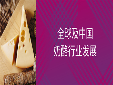 欧睿咨询发布《全球及中国奶酪行业发展报告》,中国奶酪市场迎来品类的黄金发展期