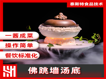 泰斯特 佛跳墙汤底