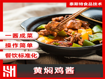 泰斯特  黄焖鸡酱