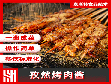 泰斯特  孜然烤肉酱风味提升解决方案