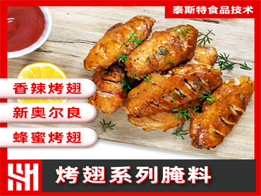 泰斯特  烤翅系列腌料风味提升解决方案