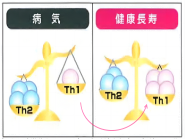 调节免疫平衡的日本后生元植物乳杆菌SNK