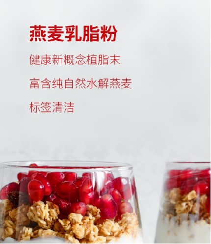 回顾 2023 HNC健康营养展,期待 2024 HNC——Custom Food 燕麦乳脂粉