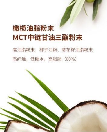 回顾 2023 HNC健康营养展,期待 2024 HNC——Custom Food 健康营养油脂粉末