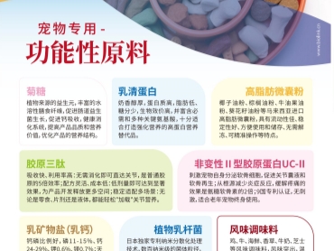 宠物专用功能性原料，比灵配料赋能厂商事半功倍