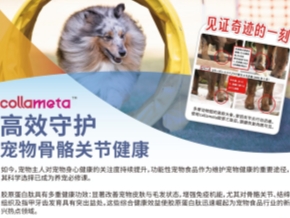 比灵配料与您一起，高效守护动物骨骼健康