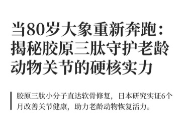 当80岁大象重新奔跑:胶原三肽的硬核实力