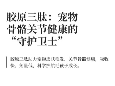 胶原三肽:宠物骨骼关节健康的“守护卫士