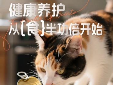 比灵配料 亚洲宠物展览会 星品来袭