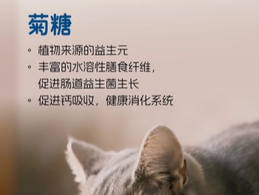 宠物专用 菊糖