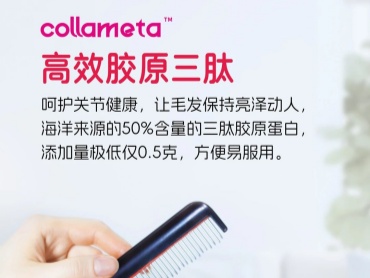 宠物专用 胶原三肽蛋白