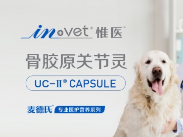 2025 亚洲宠物展落幕,关节健康成焦点,UC-II 崭露头角