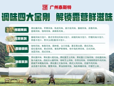 泰斯特调味四大金刚 解锁露营鲜滋味