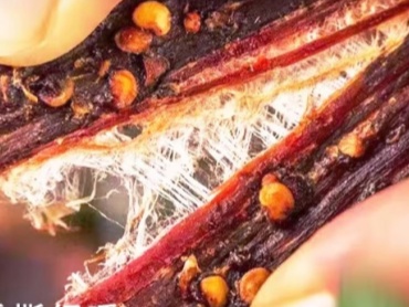 香辣风干肉：极简配方，高效出爆款的流量单品