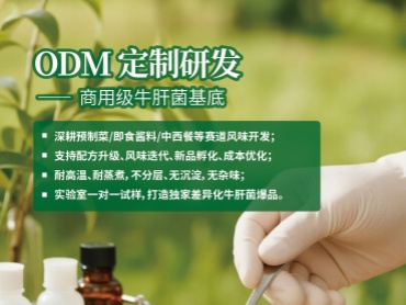 商用级牛肝菌酱基底｜ODM 定制研发