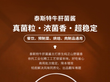 泰斯特 商用 牛肝菌酱工业装