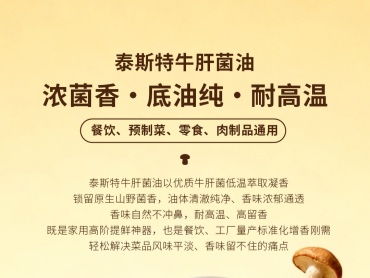 泰斯特 商用 牛肝菌油工业装