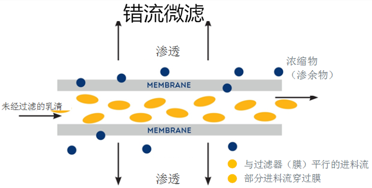 微信图片_20210118144246_副本.png