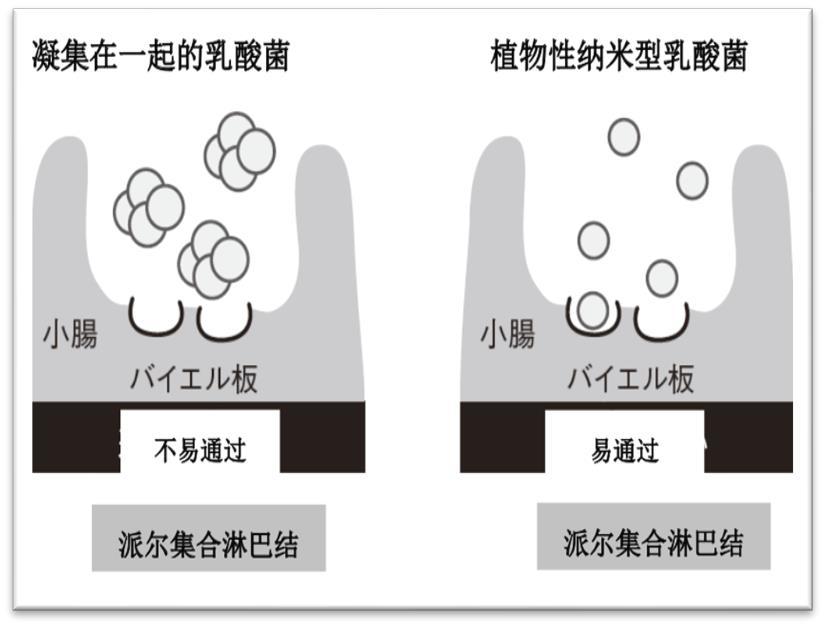 图片13.jpg 图片13.jpg