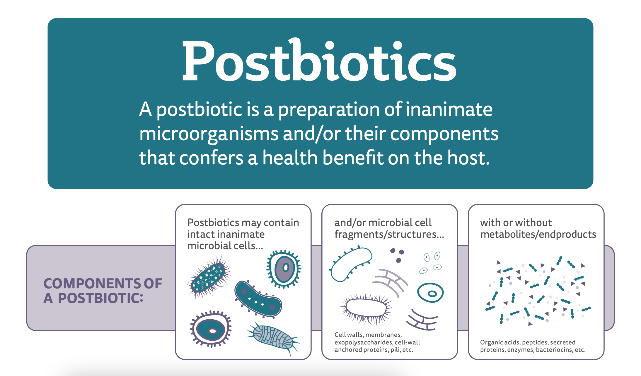 postbiotics-blog-image.png