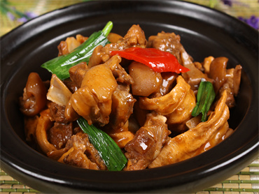 摄图网_500801050_支竹焖羊肉(企业商用).jpg