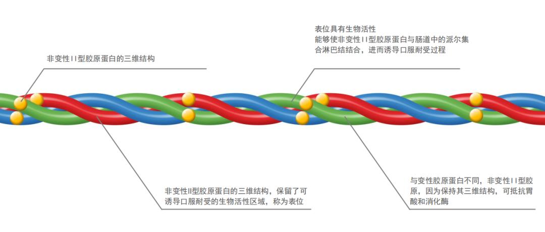 图片14.jpg