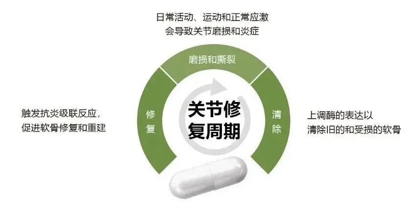 d88a6bd68859421b924e3e522df660f3_副本.jpg