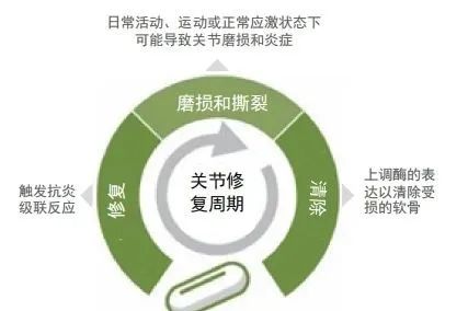 图片43.jpg