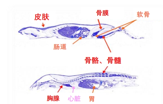微信截图_20250526143640.jpg