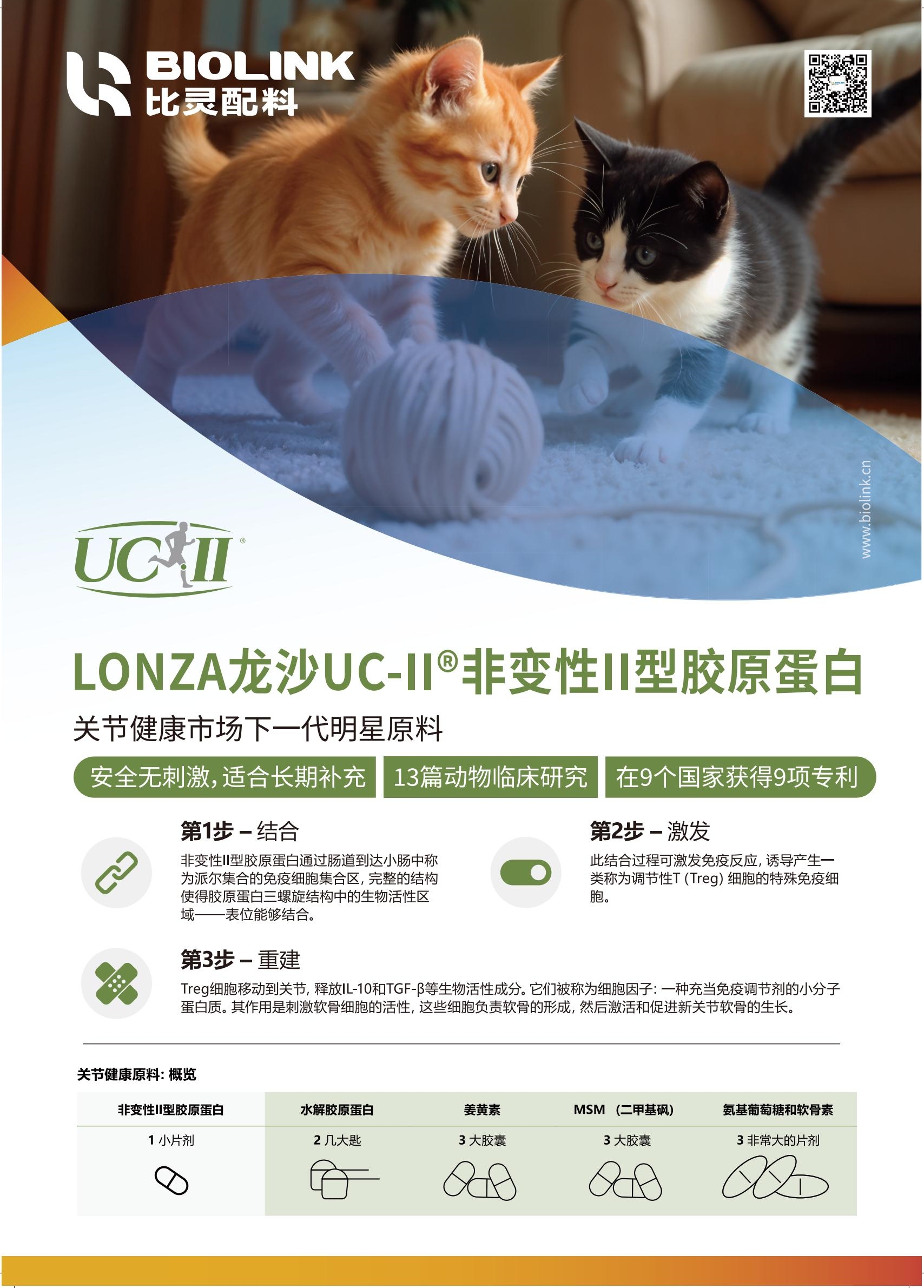 uc2宠物单页210x297mm_01_副本.jpg