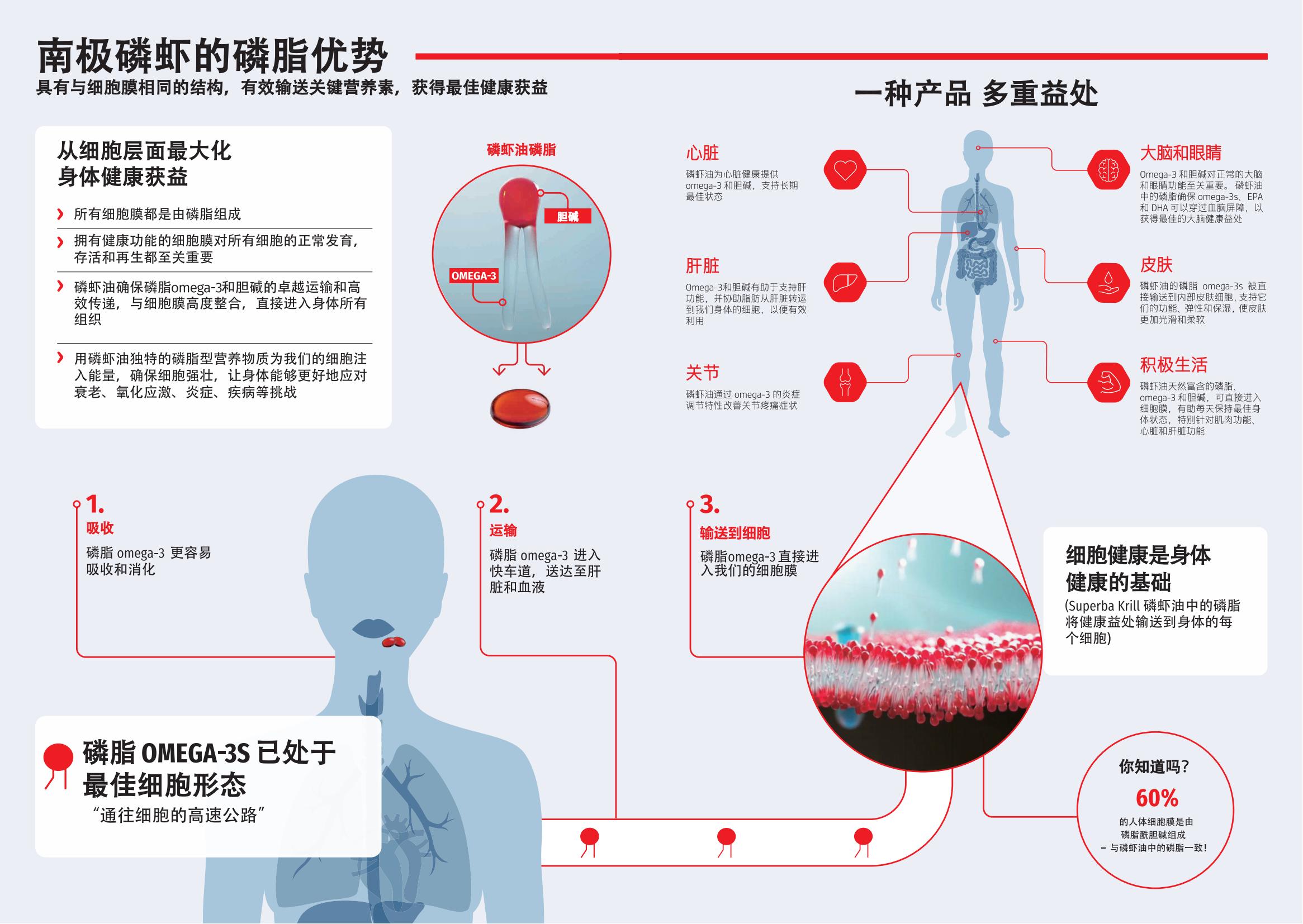 [中文]Superba磷虾油产品手册P355_SUPERBA_BROCHURE_02(2).jpg