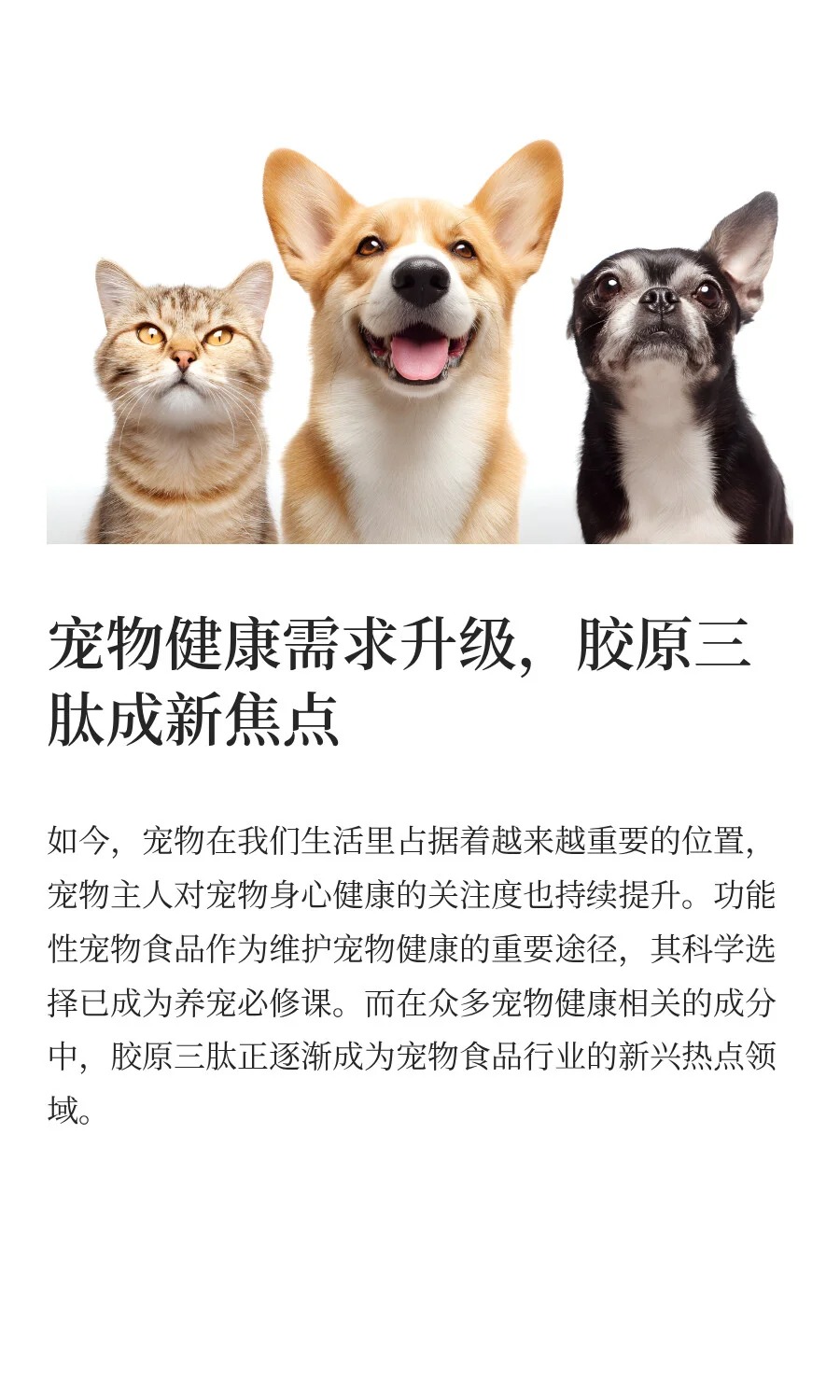 胶原三肽:宠物骨骼关节健康的“守护卫士_2_比灵配料_来自小红书网页版.jpg