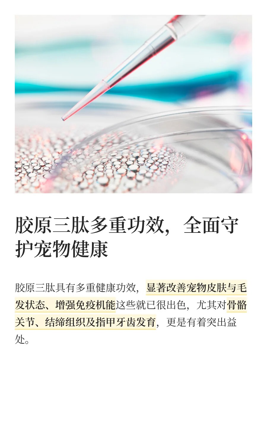 胶原三肽:宠物骨骼关节健康的“守护卫士_3_比灵配料_来自小红书网页版.jpg