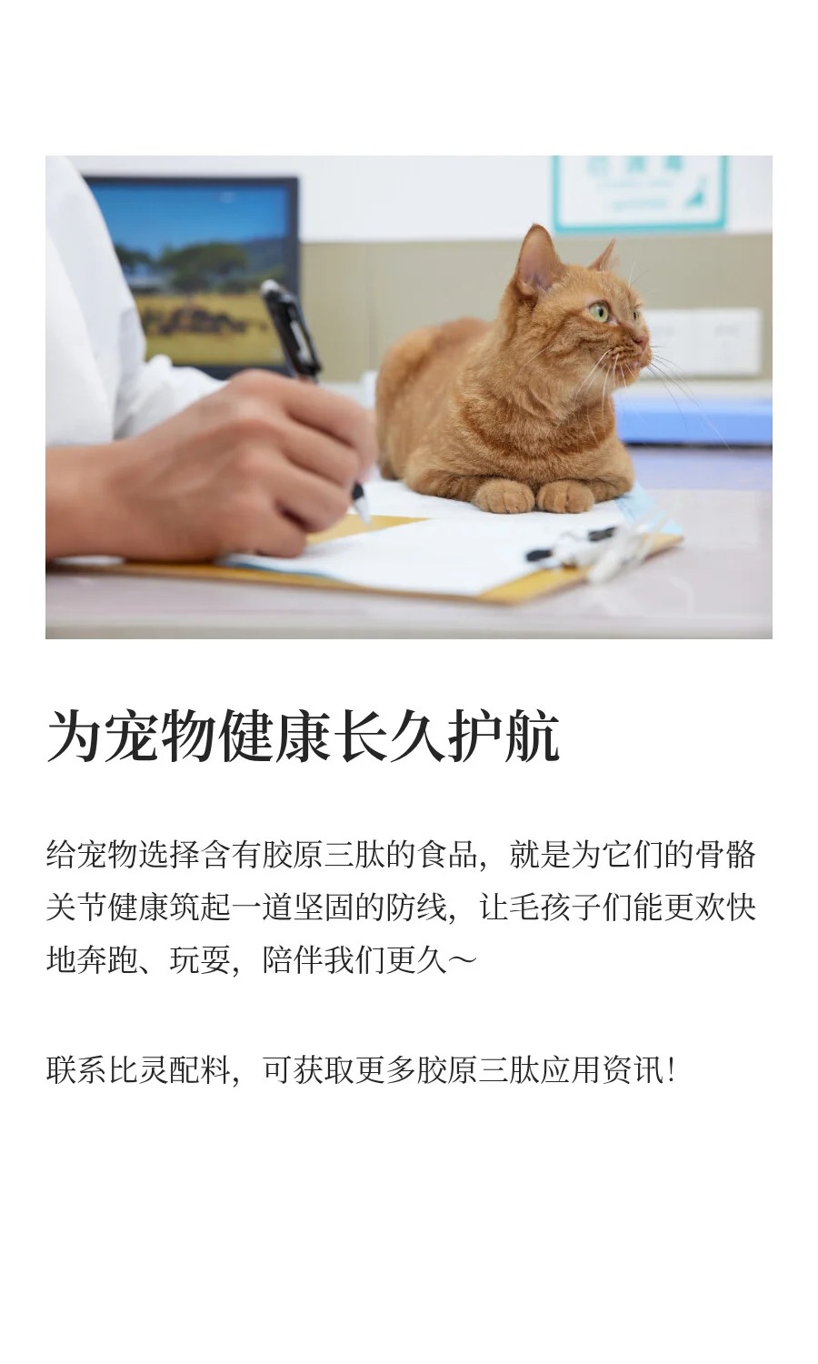 胶原三肽:宠物骨骼关节健康的“守护卫士_6_比灵配料_来自小红书网页版.jpg
