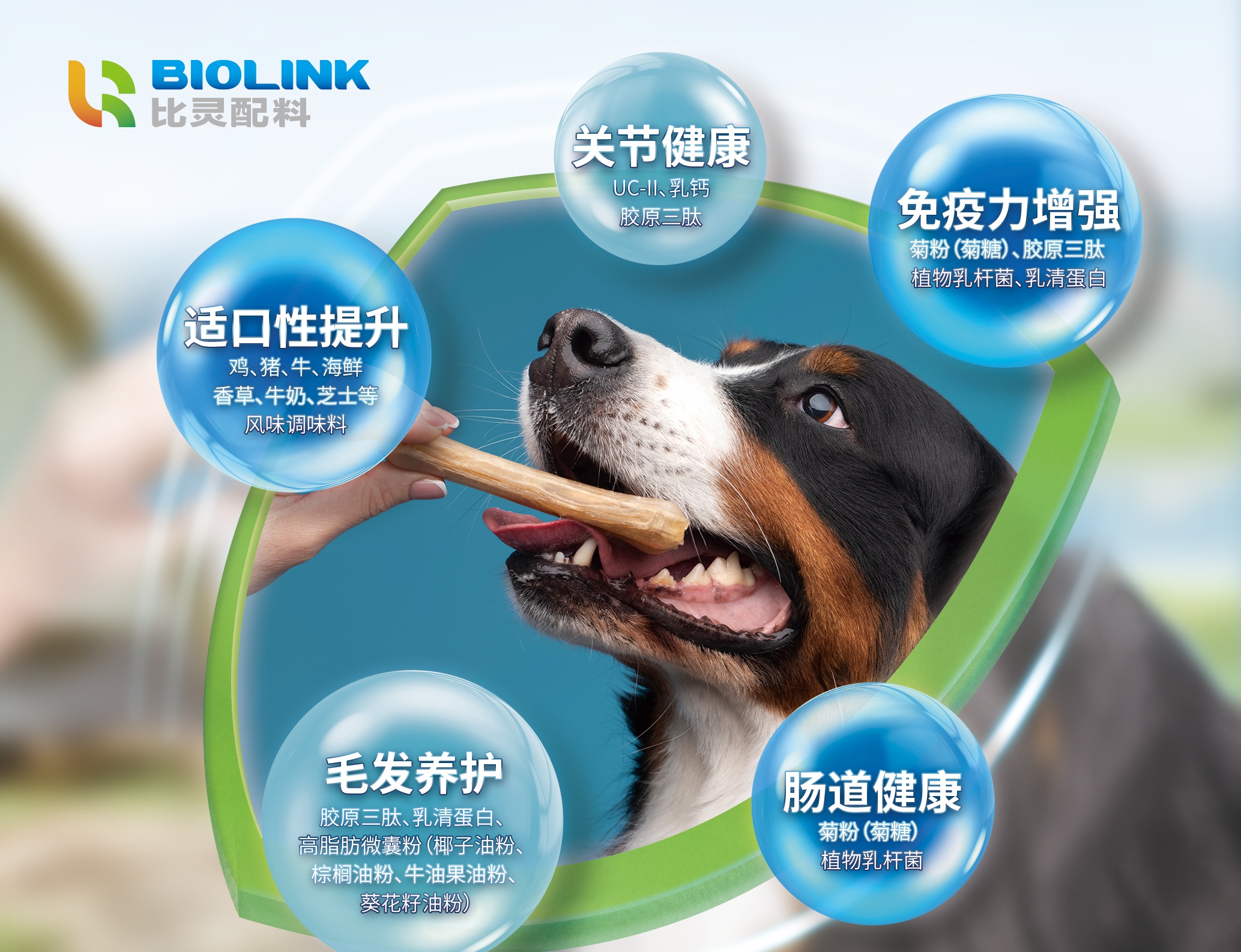微信图片_20250811142341_68_副本.jpg