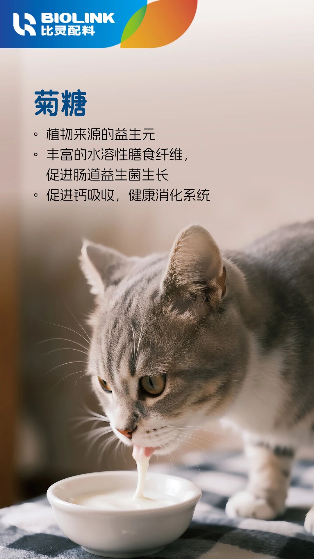 0 (1).jpg