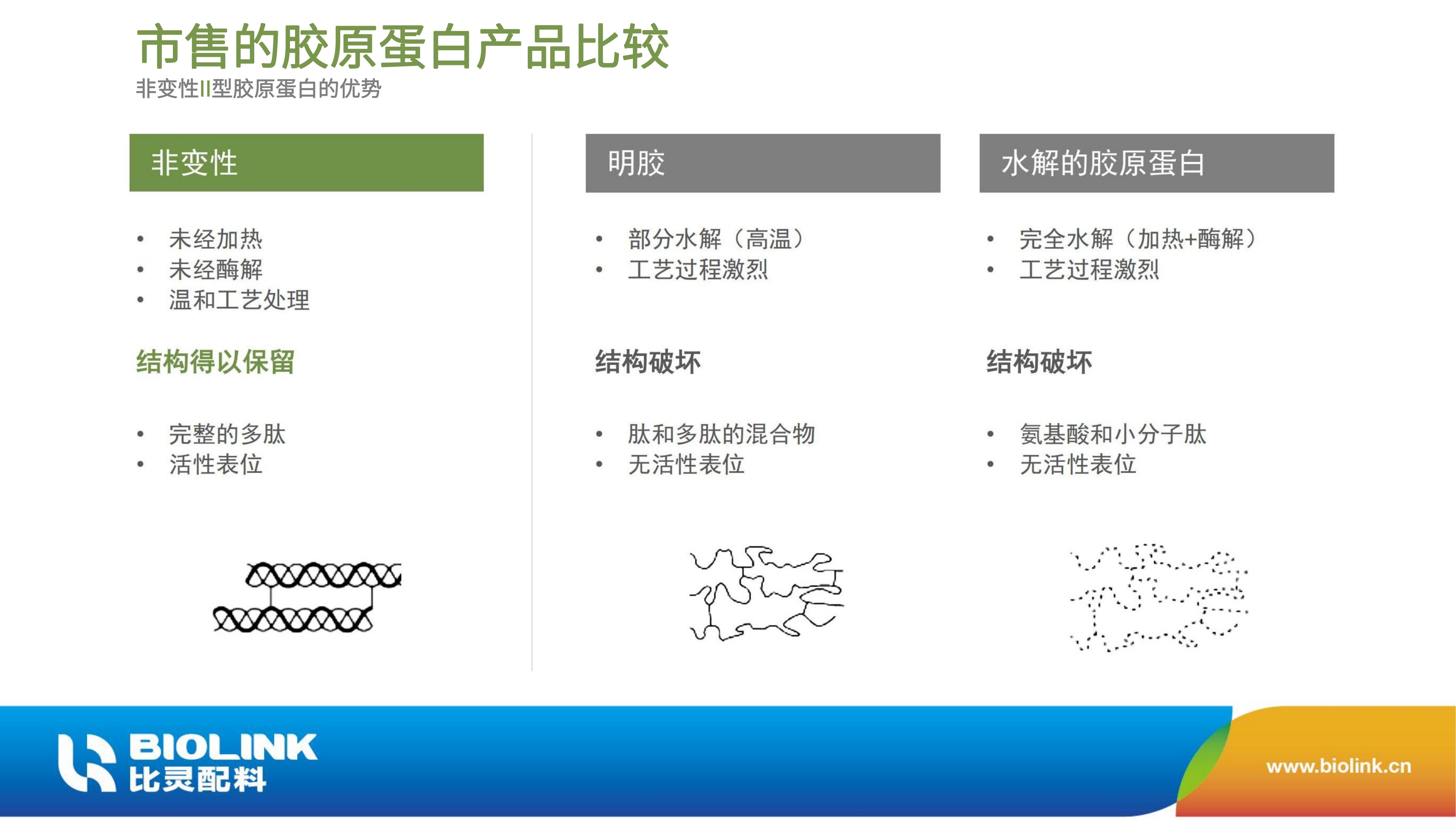 非变性II型胶原蛋白 UC-II BIOLINK 2024_11.jpg