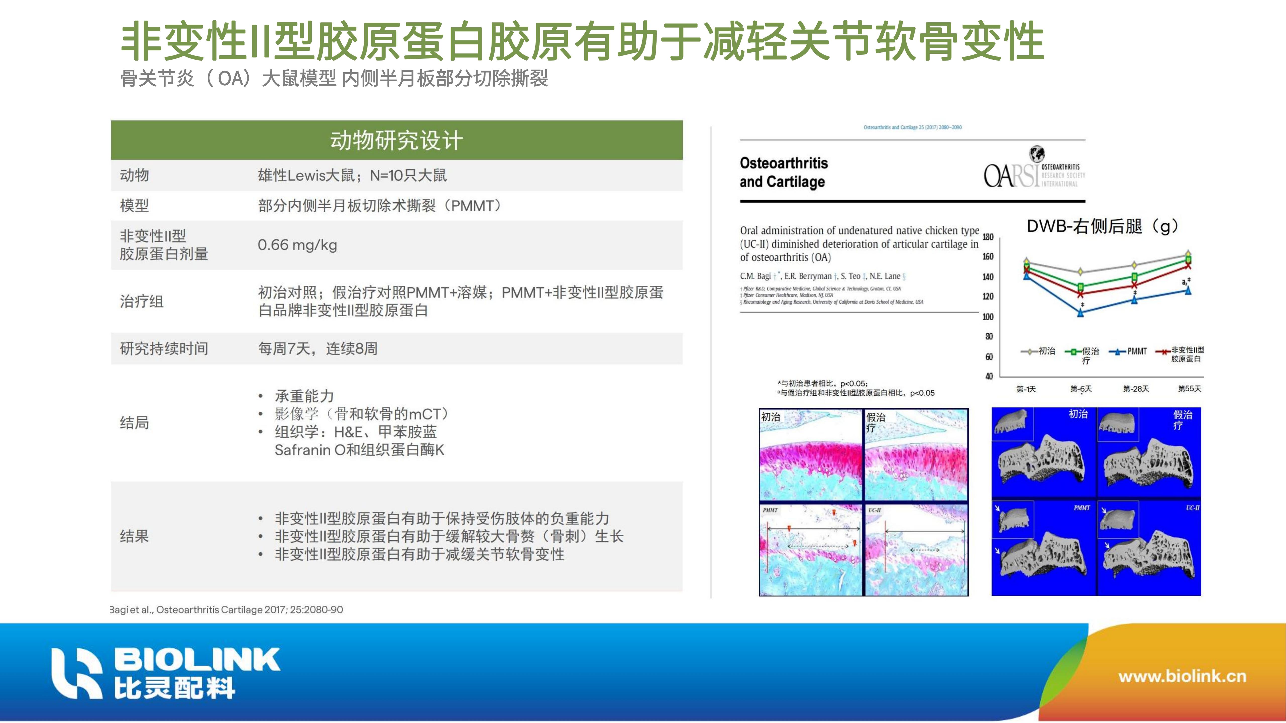 非变性II型胶原蛋白 UC-II BIOLINK 2024_20.jpg