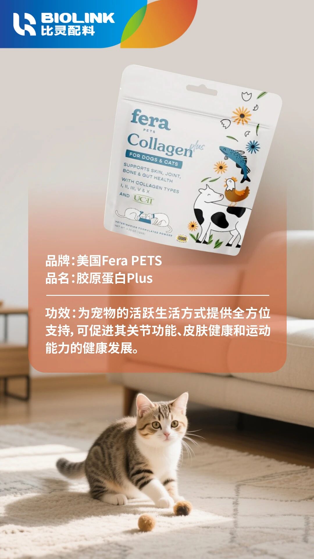 微信图片_2025-09-24_153456_663.jpg